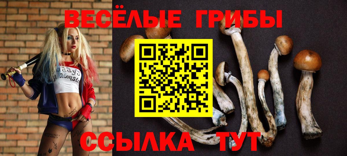 Псилоцибиновые грибы MAGIC MUSHROOMS  Вход с VPN  Шали 