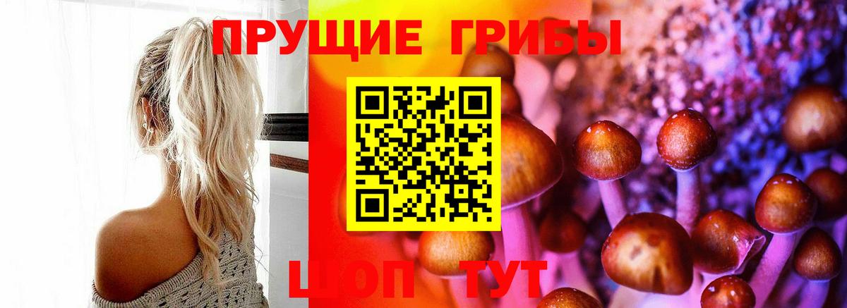 Псилоцибиновые грибы Psilocybine cubensis Шали